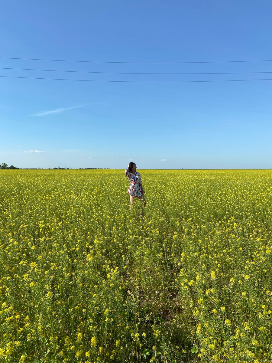 Цветение рапса в Крыму